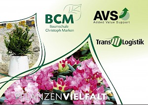 BCM_AVS Image-brochure